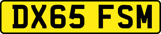 DX65FSM