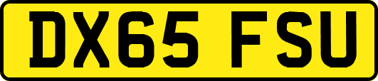 DX65FSU
