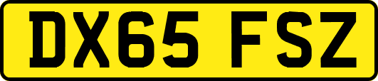 DX65FSZ