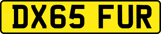 DX65FUR