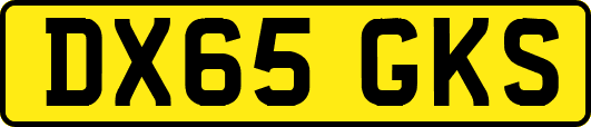 DX65GKS