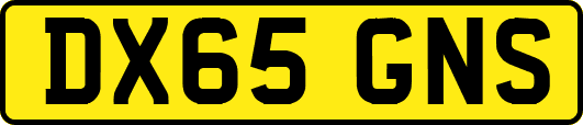 DX65GNS