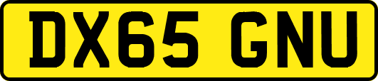 DX65GNU