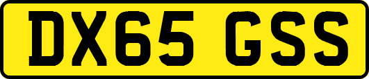 DX65GSS