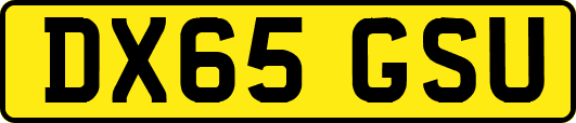 DX65GSU