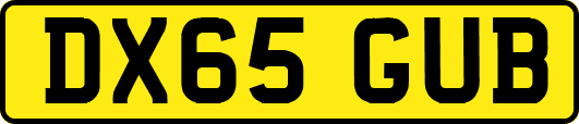 DX65GUB