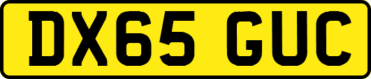 DX65GUC