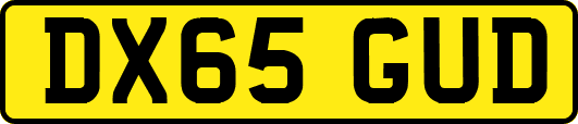 DX65GUD