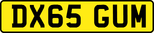 DX65GUM