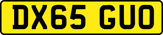 DX65GUO