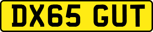 DX65GUT