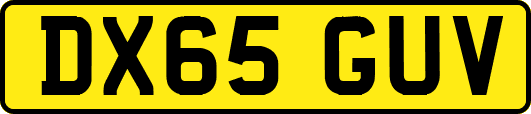 DX65GUV