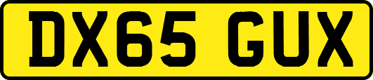 DX65GUX