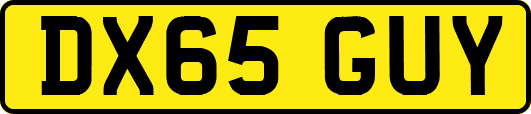 DX65GUY