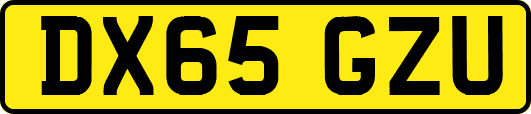 DX65GZU