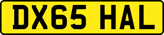 DX65HAL