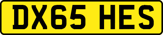 DX65HES