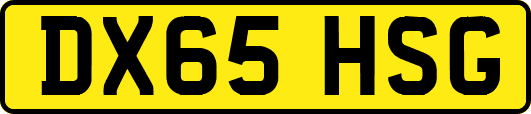 DX65HSG
