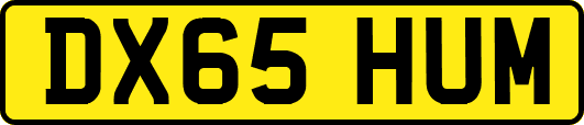 DX65HUM