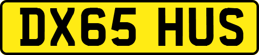 DX65HUS