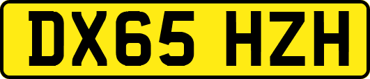 DX65HZH