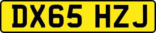DX65HZJ