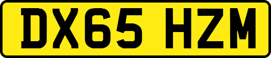 DX65HZM