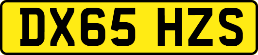 DX65HZS