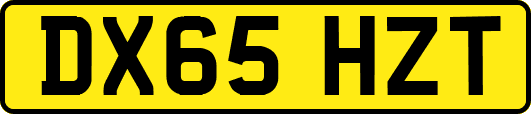 DX65HZT