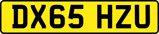 DX65HZU