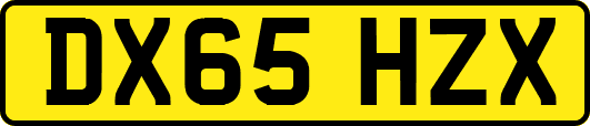 DX65HZX