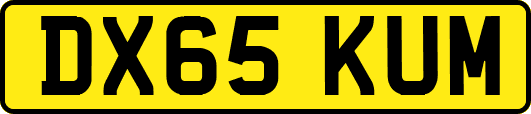 DX65KUM