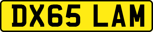 DX65LAM