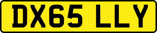 DX65LLY