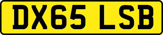 DX65LSB
