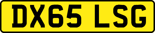 DX65LSG