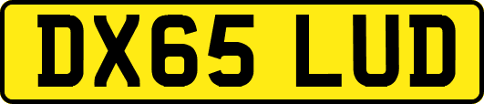 DX65LUD