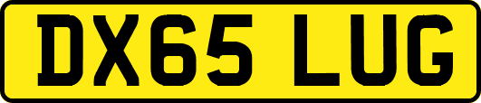 DX65LUG