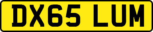 DX65LUM