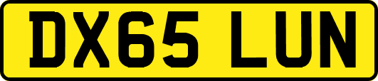 DX65LUN