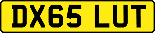 DX65LUT