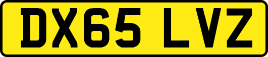 DX65LVZ