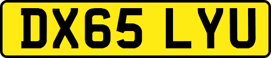 DX65LYU