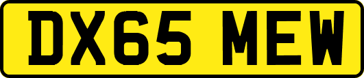 DX65MEW