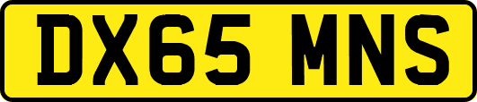 DX65MNS