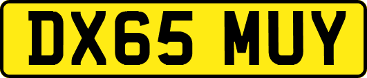 DX65MUY