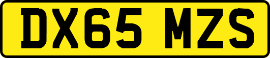 DX65MZS