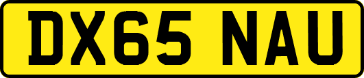 DX65NAU