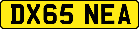 DX65NEA