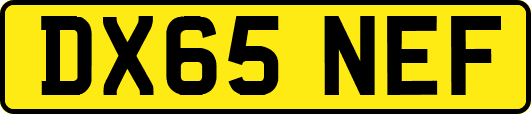 DX65NEF